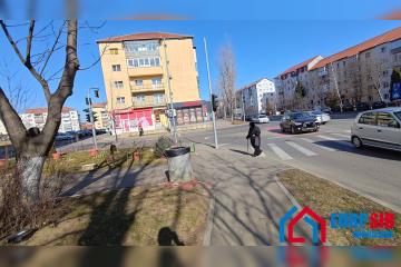 P_20250211_115942.jpg