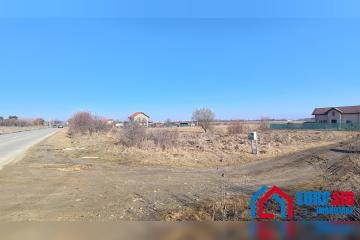 P_20250304_95021.jpg